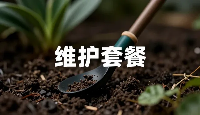综合后勤管理中日常保洁服务的实践要点与优化路径